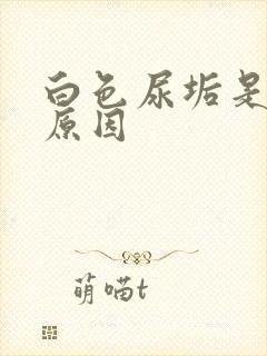 白色尿垢是什么原因