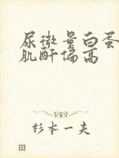 尿微量白蛋白尿肌酐偏高