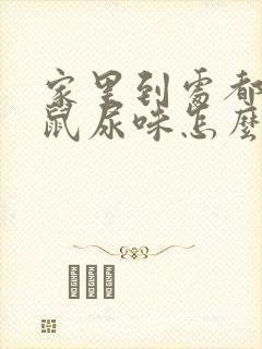 家里到处都是老鼠尿味怎么办