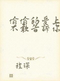 偷偷的爱上你却不敢告诉你什么歌