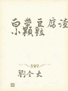 白带豆腐渣外阴小颗粒