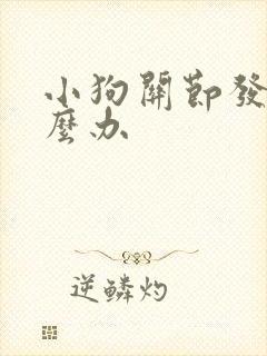 小狗关节发炎怎么办