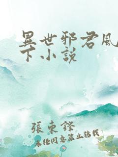 异世邪君风凌天下小说