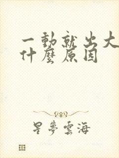 一动就出大汗是什么原因