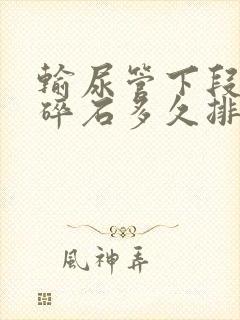 输尿管下段结石碎石多久排出