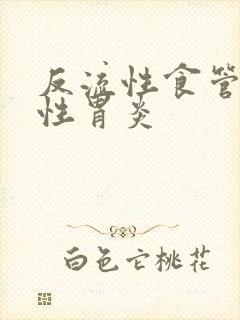 反流性食管炎慢性胃炎