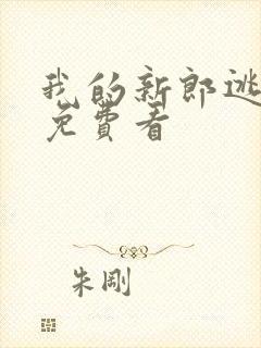 我的新郎逃婚了免费看