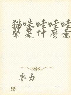 猫咪哇哇哇的叫声是什么意思