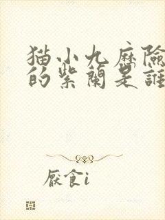 猫小九历险记中的紫兰是谁