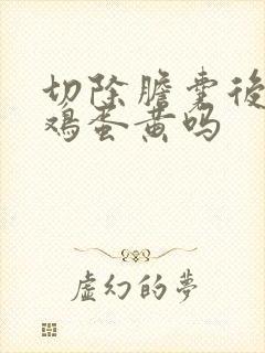 切除胆囊后能吃鸡蛋黄吗