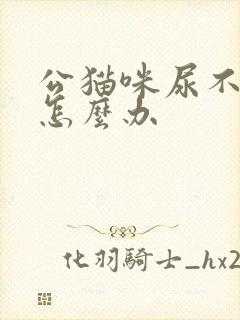 公猫咪尿不出尿怎么办