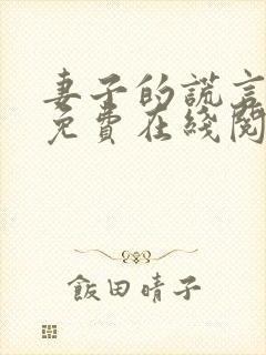 妻子的谎言小说免费在线阅读