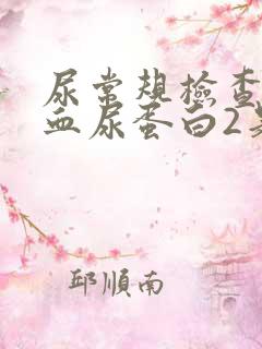 尿常规检查尿潜血尿蛋白2是什么意思