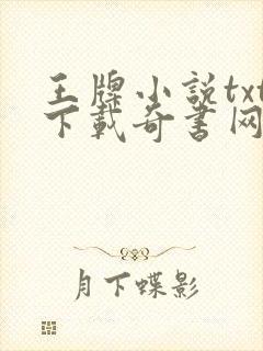王牌小说txt下载奇书网
