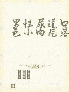 男性尿道口有白色小肉疙瘩怎么回事