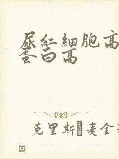 尿红细胞高 尿蛋白高