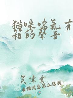 猫咪喘气有拉风箱的声音