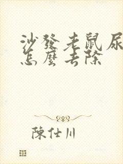 沙发老鼠尿骚味怎么去除