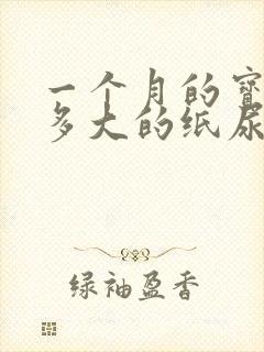 一个月的宝宝穿多大的纸尿裤