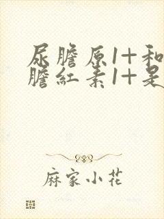 尿胆原1+和尿胆红素1+是什么意思