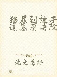 猫尿到被子上味道怎么去除