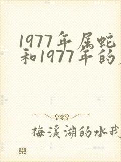 1977年属蛇和1977年的属蛇婚姻