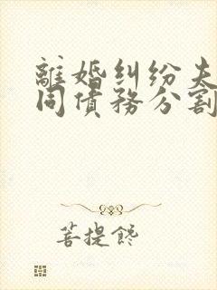 离婚纠纷夫妻共同债务分割