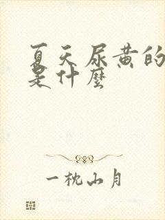 夏天尿黄的原因是什么