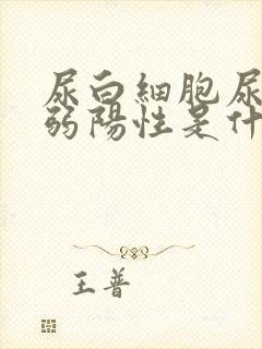 尿白细胞尿潜血弱阳性是什么意思