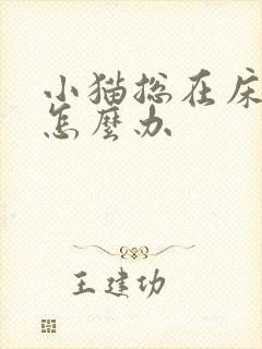 小猫总在床上尿怎么办