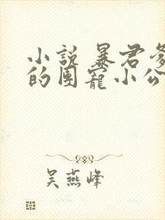 小说 暴君爹爹的团宠小公主