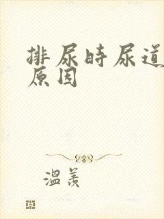 排尿时尿道刺痛原因