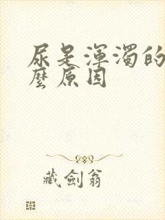 尿是浑浊的是什么原因