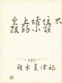 皇上堵住不给生孩的小说