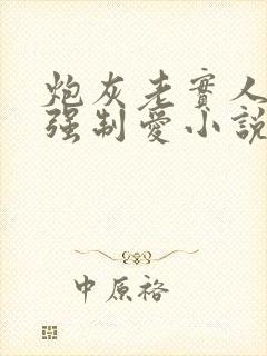 炮灰老实人总被强制爱小说