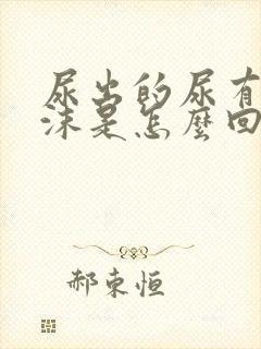 尿出的尿有很多沫是怎么回事