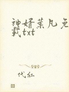 神婿叶凡免费下载txt