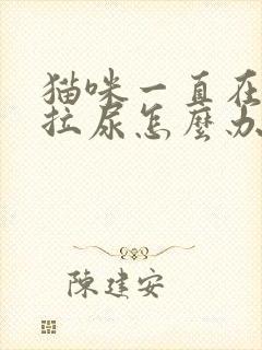 猫咪一直在床上拉尿怎么办