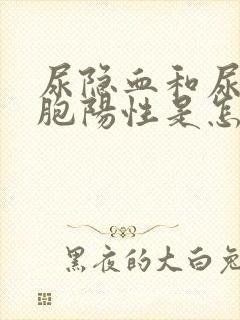 尿隐血和尿白细胞阳性是怎么回事