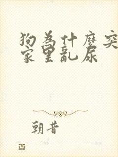 狗为什么突然在家里乱尿