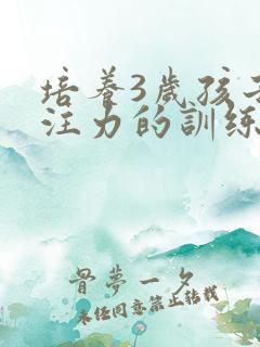 培养3岁孩子专注力的训练方法