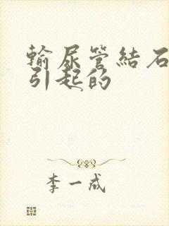 输尿管结石原因引起的