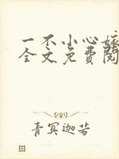 一不小心嫁总裁全文免费阅读