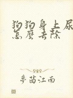 狗狗身上尿骚味怎么去除