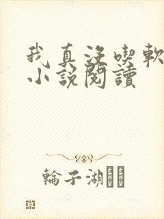 我真没吃软饭 小说阅读