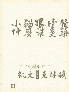 小猫眼睛发炎吃什么消炎药