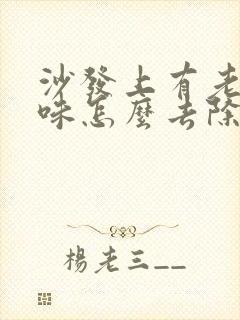 沙发上有老鼠尿味怎么去除