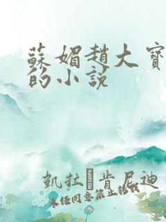 苏媚赵大宝赵勇的小说