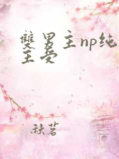 双男主np纯肉主受