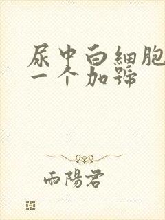 尿中白细胞酯酶一个加号